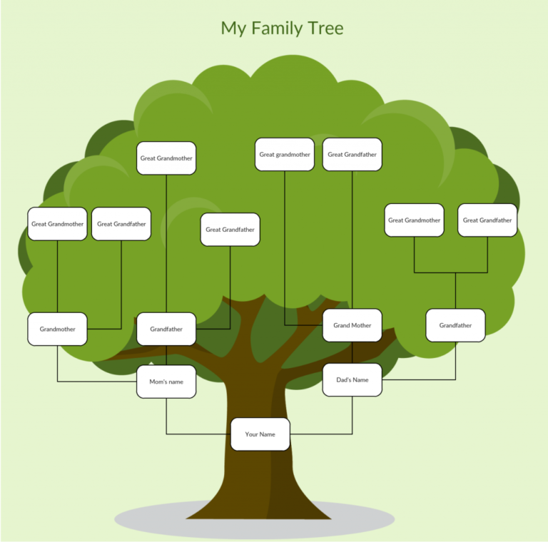 Download Family Tree Maker 2024 setup screen guide