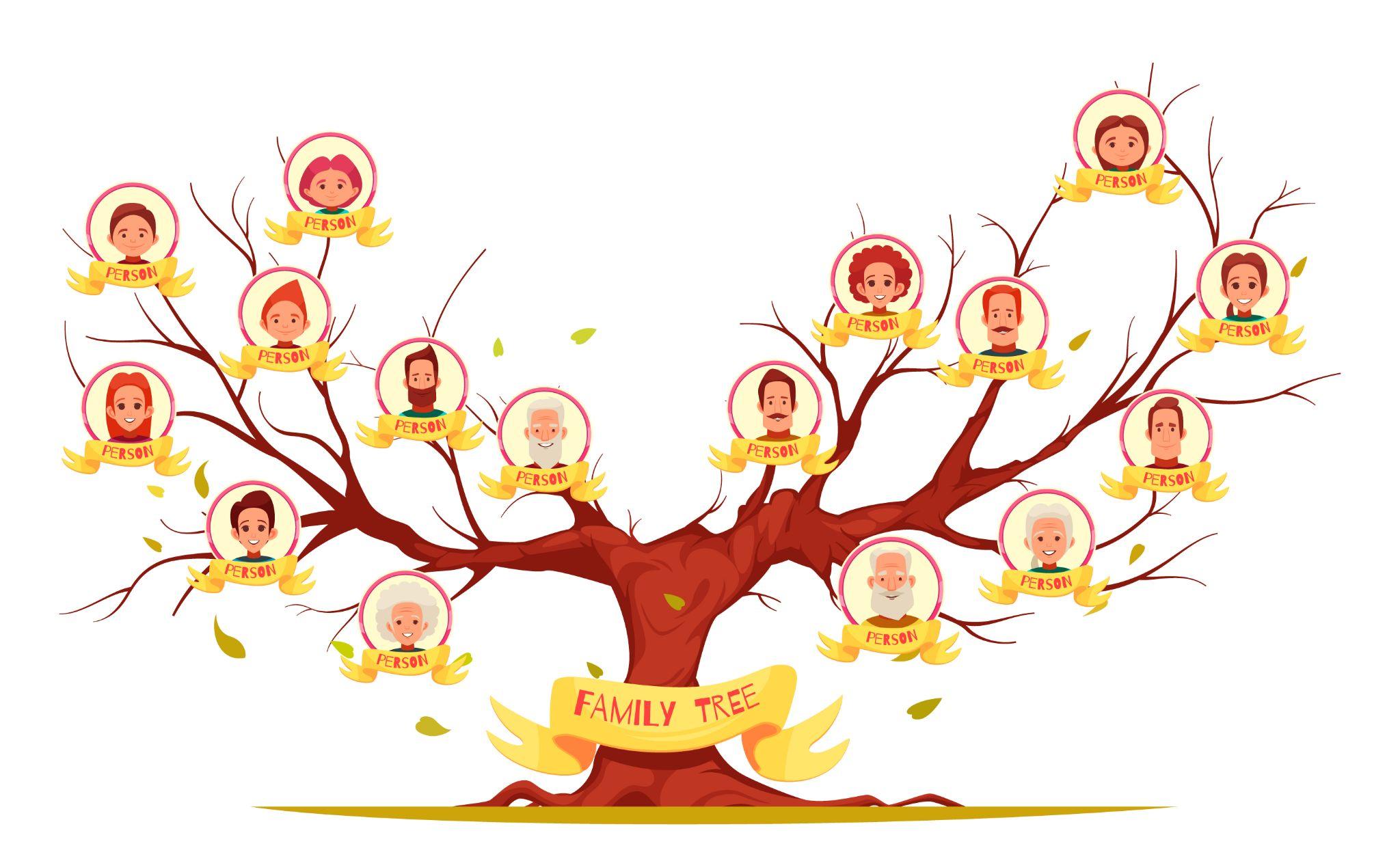Family tree sync media