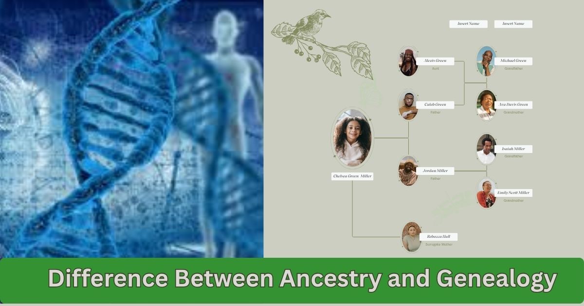 Ancestry and Genealogy